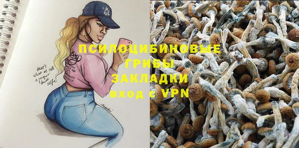 мяу мяу кристалл Покачи