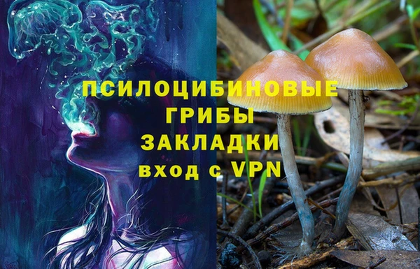 ешки Пестово