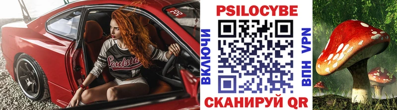 Купить  Таруса  Галлюциногенные грибы мицелий 